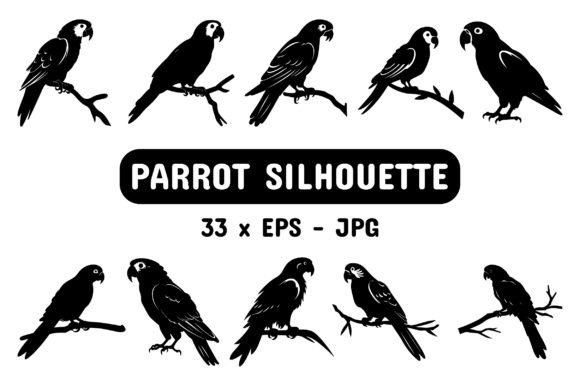 Download Parrot Silhouette Set Collection Bundle - Set collection bundle Collection