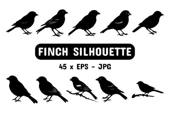 Download Finch Silhouette Set Collection Bundle - Set collection bundle Collection